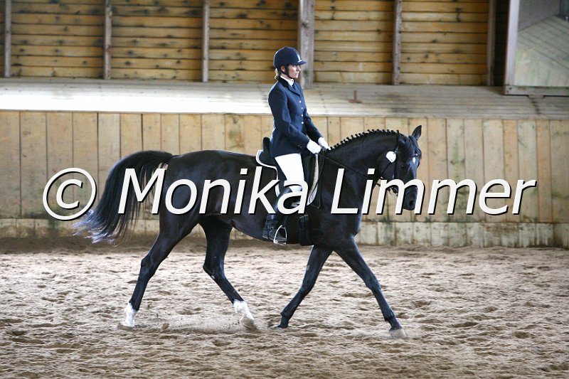 006M5004_Dressur A.JPG